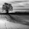 Silent story