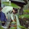 2017阿蘇神社