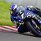  YAMAHA  BLUE .3