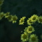 DSCF8657