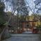 大原野神社