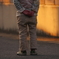 夕方の散歩