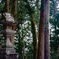 近所の神社にて～