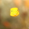 ミナミハコフグ幼魚