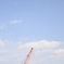 休日と空