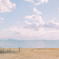 海