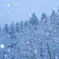 雪山歩き