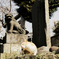 猫撮り散歩1346