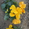 DSCN1218