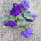 DSCN1206