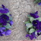 DSCN1204