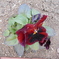 DSCN1201