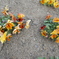 DSCN1200