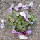 DSCN1199