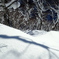 雪の登山道