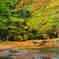 菊池渓谷7
