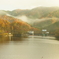 ダム湖の紅葉