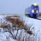 北海道の特急列車 2
