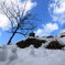 雪だるまたち