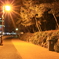 散歩道