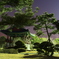 韓国公園の夜