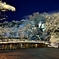 雪夜景・彦根城大手門
