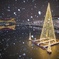 雪の環水公園