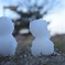 残り雪