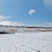 雪の日