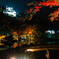 錦秋の彦根城借景２(玄宮園より）