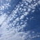 雲