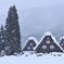 念願の白川郷雪化粧 その１