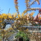 DSCN1228