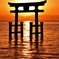 Sunrise of torii at lake　Ⅳ