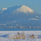 名峰大山
