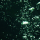 気泡