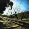 傾斜鉄道跡