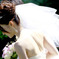 「Bride」 01