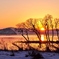 長閑な湖北の夕暮れ