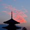 寒茜の法起寺