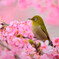春の息吹