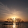 湖北の夕陽_1