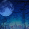 水の中の世界（月夜）