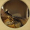 photo_639962