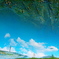 POP SKY
