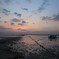 干潟の夕暮れ