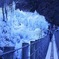 青の世界②