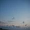 海へと続く道