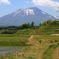 田園と岩手さん
