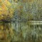 Fading season